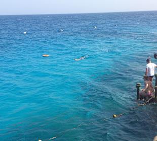 Das Riff zum Schnorcheln