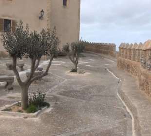 Sant Salvador
