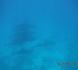 Mit der eigenen Kamera gemacht