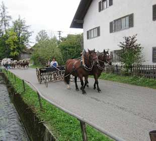 Fuhrwerk mit Saatmaschine