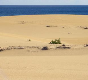 Impressionen aus der Dünenlandschaft