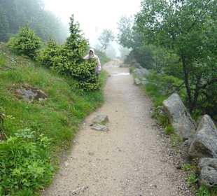 Weg vom Brocken, zu Fuß zurück ins Tal