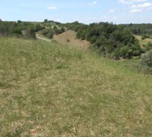 Burg Kräheneck Reusten