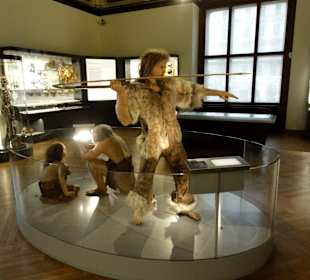 Naturhistorisches Museum