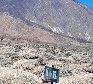 Teide Nationalpark