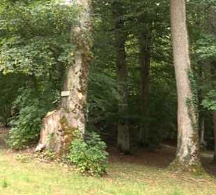Hochgeträumt Premiumwanderung