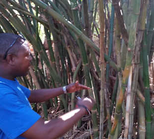 Eddy - im Hallerpark ...