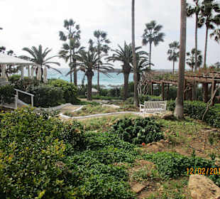 Kräutergarten Nissi Beach