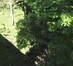 Burgruine Hohenrechberg