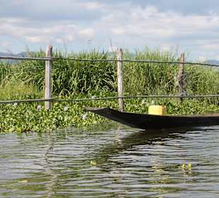 Das einzige Transportmittel