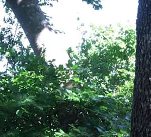 Premiumwanderweg "hochgelegen"