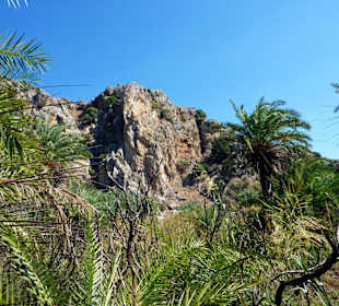 Palmenstrand von Preveli
