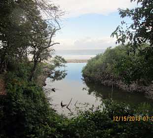 Wilder Naturstrand Barrigona, Samara Costa Rica