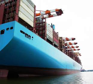 Von hinten nach vorne