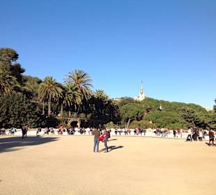 Park on a lovely day