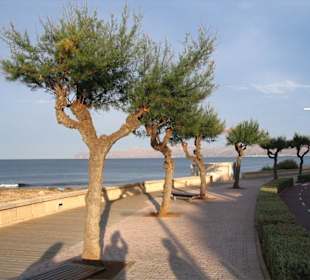 Spaziergang über die Promenade