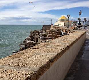 Cadiz