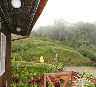 Ausflug Wildfife Expeditions