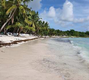 Isla Saona