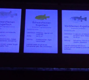 Meeresmuseum Stralsund