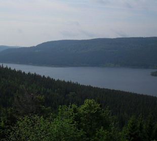 Blick auf den Schluchsee