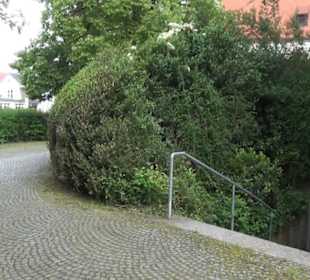 Park an der Mauritiuskirche