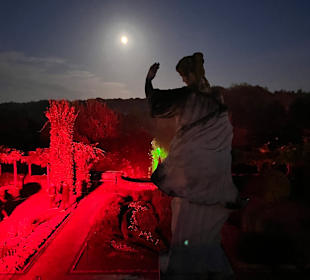 Mondo Verde Halloween