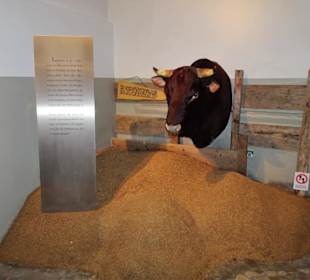 Treberverwertung als Viehfutter