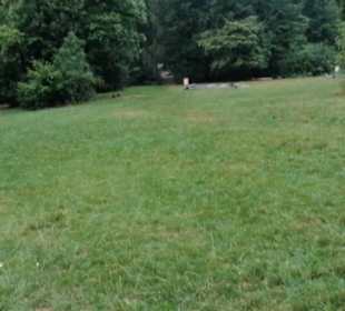 Spielplatz Eninger Weide
