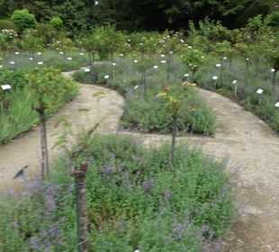 Rosengarten auf der Roseninsel