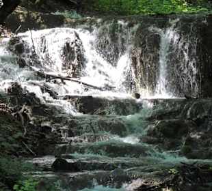 Wanderung durch den Ponlachgraben