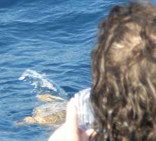 Tauchplatz Marsa Mubarak