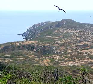 Isla de la Plata