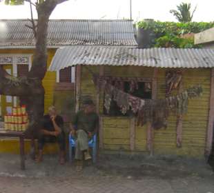 Monster Truck Safari