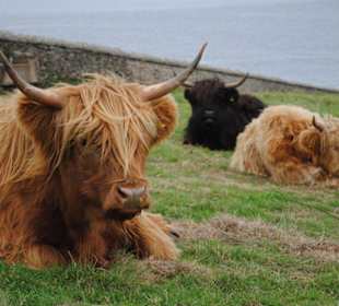 Cape Cornwall