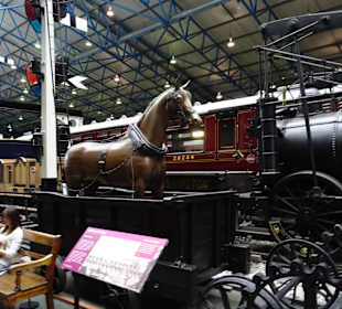 Im Lager des Museums