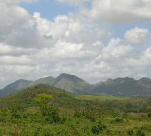 Monster Truck Safari