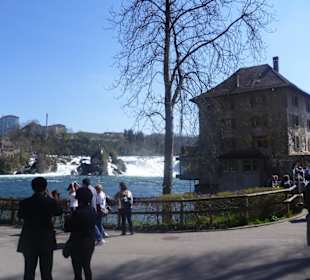 Schlössli Wörth am Rheinfall bei Schaffhausen