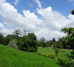 Höhenpark Killesberg