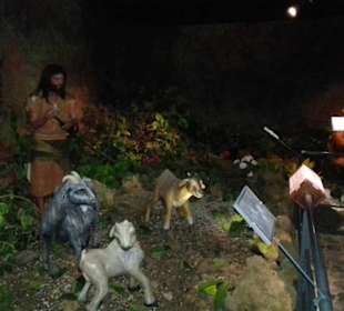 Museo Guanche in Icod de los Vinos