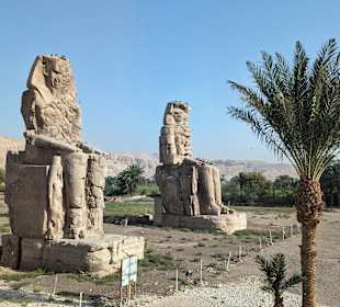 Memnon kolosse