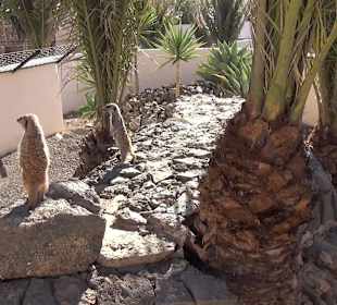 Guinitate Tropical Park