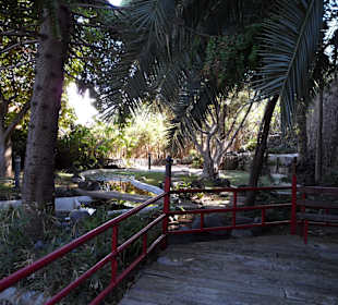 Taoro Parque 