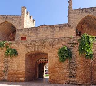 Tor in Alcudia,
