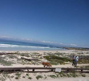 Auf den Spuren der Siedler