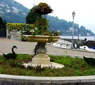 Schön angelegter Brunnen