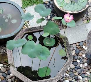 Świątynia Kek Lok Si