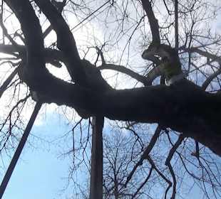 Ergat Dorfplatz Mittelzell