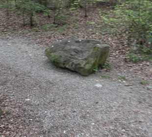 Walderlebnisweg Rottenburg