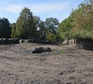 Zoo